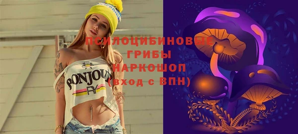 ешки Богородицк