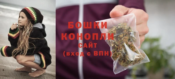 стаф Богородск