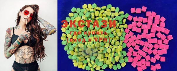стаф Богородск