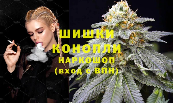 стаф Богородск
