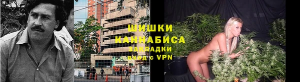 скорость Богданович